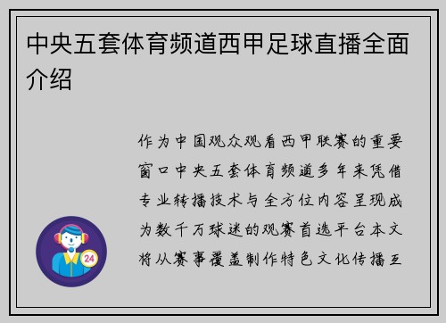 中央五套体育频道西甲足球直播全面介绍